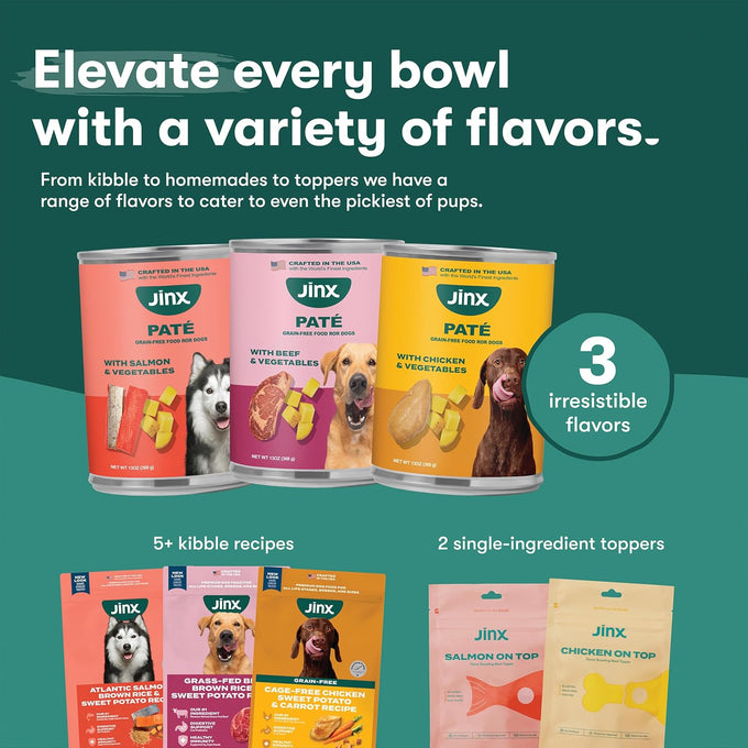 Jinx Premium Wet Dog Food Cans - Salmon Pate - Grain-Free Canned Dog Food Pate & Topper with Real Ingredients & No Fillers - All Life Stages, Breeds & Sizes - 12-Pack, 13 Oz