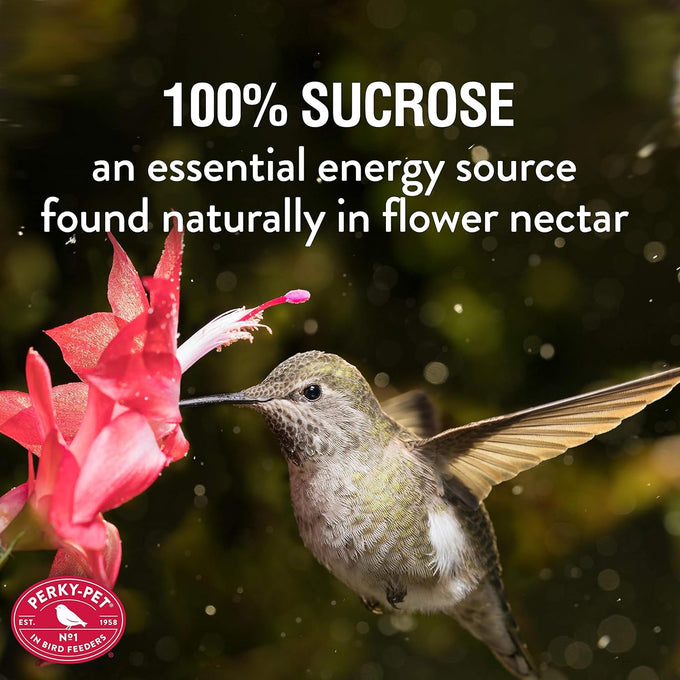 Perky-Pet Hummingbird Nectar Concentrate, 32 oz, Makes 96 fl oz of Nectar, 238cl, 3:1 or 4:1 Mixing Ratio