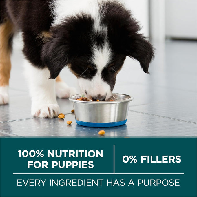 Purina ONE Plus Puppy Dry Dog Food, Chicken, 31.1 lb