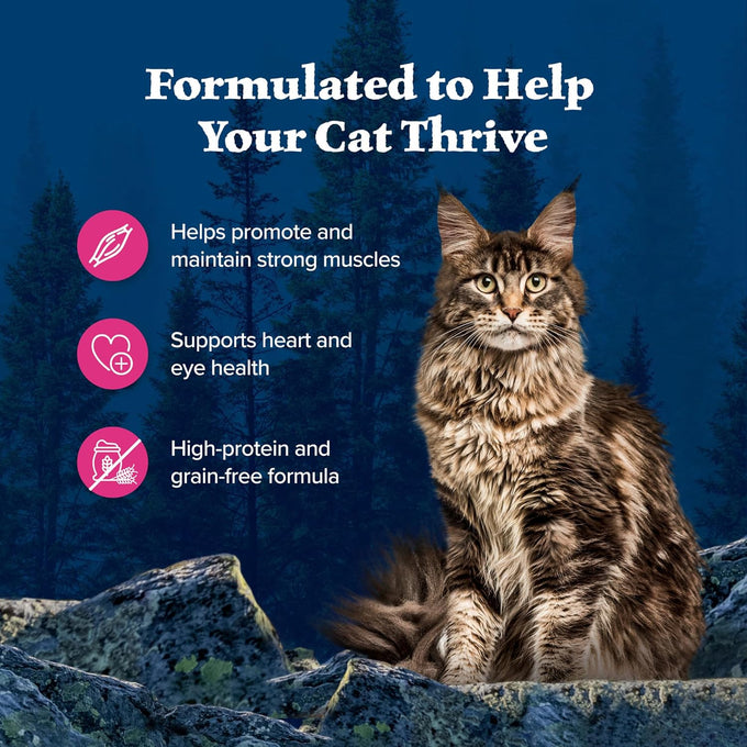 Blue Buffalo Wilderness Wild Delights Chicken & Salmon Grain-Free Wet Cat Food, 3-oz. Cans, 24-Pack
