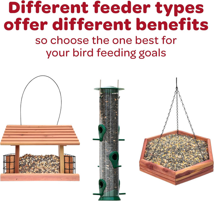 Kaytee Wild Finch Food Blend, 3 lb, sunflower chips, small grains, high-energy seeds, finches, year-round diet