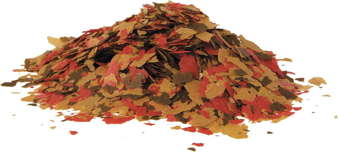Tetra ColorPlus Tropical Fish Food Flakes, 7.06 Ounce, Natural Color Enhancers and High-Protein Formula