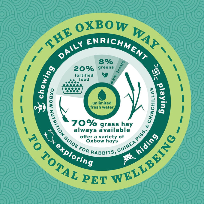 Timothy hay-based Oxbow Forage Wise Adult Rabbit Food, 4 lb bag, complete nutrition, made in USA
