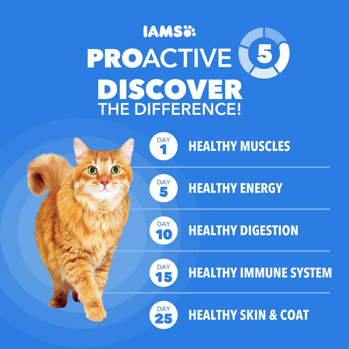 IAMS Healthy Enjoyment Dry Cat Food Chicken & Salmon Recipe, Cat Food Dry Recipe, 3 lb. Bag