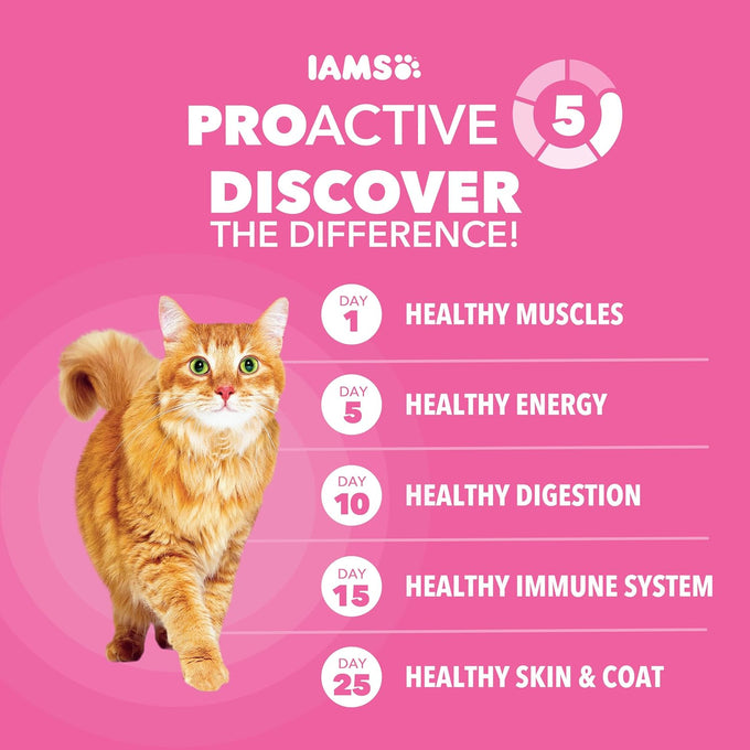 iams proactive health sensitive digestion & skin dry cat food with real turkey 13lb bag for adult cats