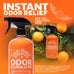 Angry Orange Pet Odor Eliminator - 24 oz Orange Rush Scent, Citrus Cleaner for Dog and Cat Urine Stains