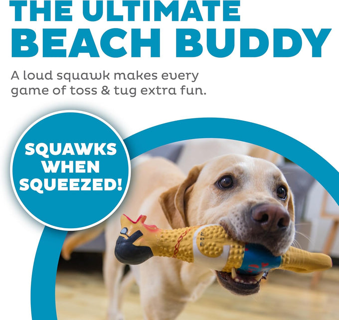 Outward Hound Charming Pet squawkers Earl latex rubber chicken dog toy funny large size