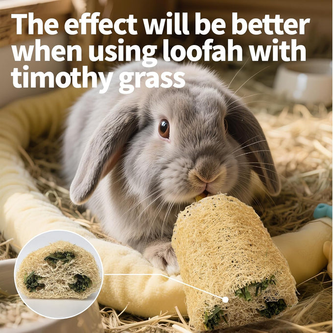 besnew natural loofah rabbit chew toys 100% edible for teeth health