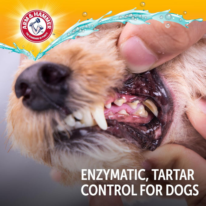 Arm & Hammer Dog Dental Kit with Enzymatic Toothpaste 2.5 oz Chicken Flavor and Baking Soda
