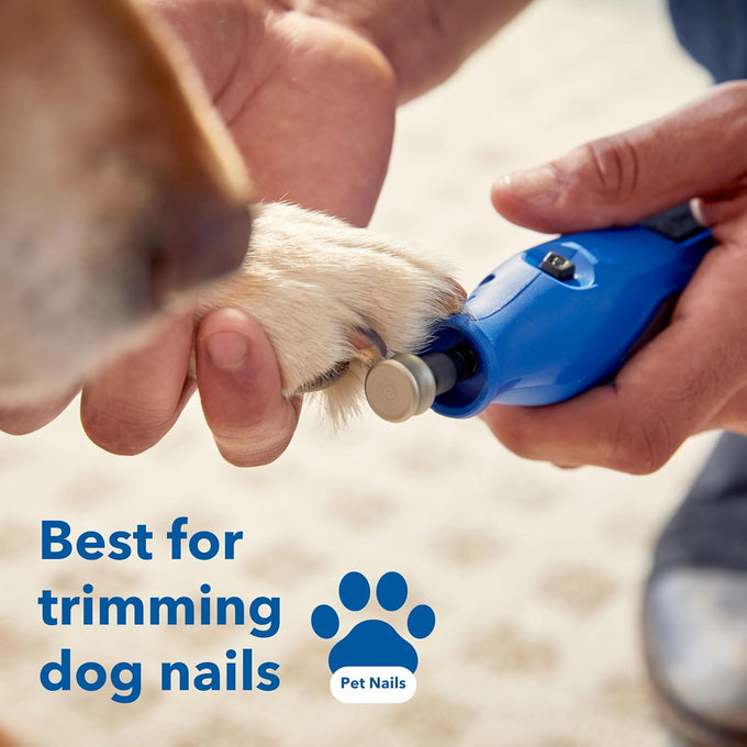 Dremel 416HP diamond-coated rotary nail grinder bit for dog nail grooming with precision control