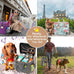 grey dog travel bag for dogs and cats with multi-function pockets and airline compliant design