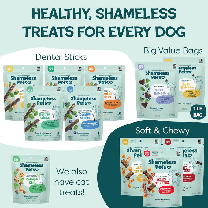 Shameless Pets Soft-Baked Pumpkin Nut Partay Dog Treats, 1 Pound, Grain-Free, USA Made, 6oz Pack