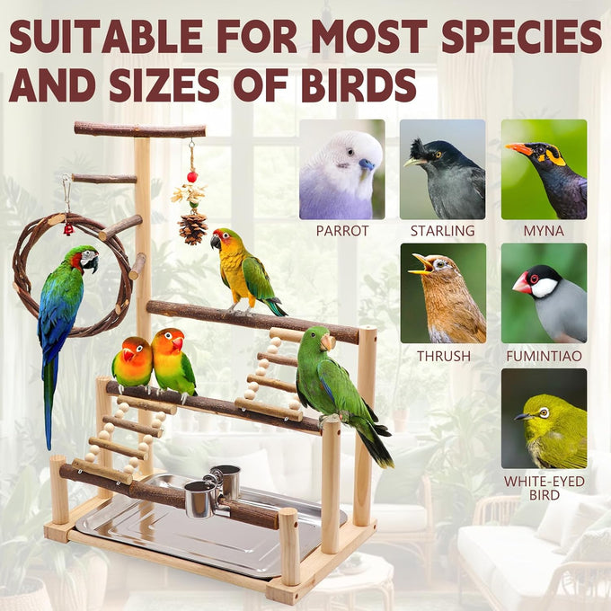 Natural Wooden Parrot Stand for Small to Medium Birds, 16.3" x 10.6" x 23.2", Chestnut Wood, Easy Assembly