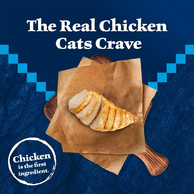 blue buffalo wilderness natural adult dry chicken cat food 12 lb bag high protein grain free diet