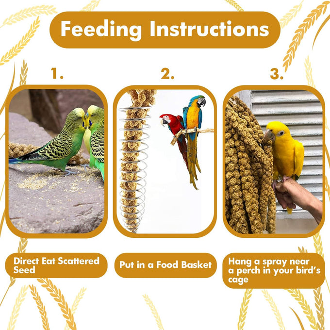 Jmxu's Natural Sun-Dried Spray Millet for Parakeets, Cockatiels, and Small Birds, 1 LB, 12.6 Inch Length