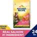 Nature's Recipe Grain Free Salmon, Sweet Potato & Pumpkin Recipe Dry Dog Food, 24 lb. Bag