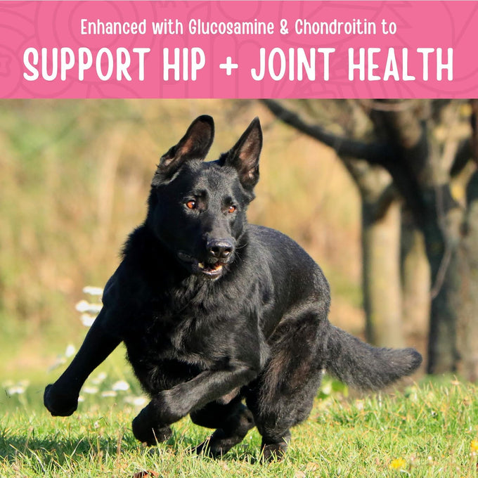 Human-grade, all-natural, full-moon chicken jerky dog treats for hip and joint health, 12 oz, made in the USA
