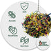 3 inch colorful paper and wooden shredder ball bird toy for cockatiels parrots and more