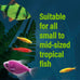 GloFish Special Flake Food for Tropical Freshwater Fish, 3.17 Ounces, Nutritionally Complete Blend