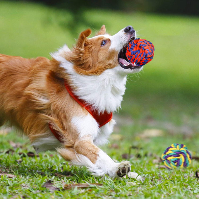 SharlovY Large Tough Chew Toys for Aggressive Chewers, 9-Kit Cotton Rope Toys Set for Medium-Large Breed Dogs