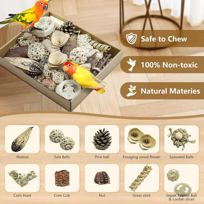 Nature Color Natural Bird Toy Foraging Parrot Shredding Toys Box for Small-Medium Birds
