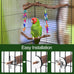Grape Wood Bird Swing Toy for Small to Medium Sized Birds, U Shape Hangable with Chains, Natural Perch for Budgerigars, Parakeets