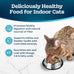 Blue Buffalo Tastefuls Natural Dry Food for Adult Indoor Cats, Salmon & Brown Rice Recipe, 15-lb Bag