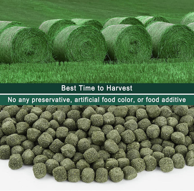 Timothy Hay Cubes 6oz, 100% Natural Timothy Hay for Small Animals, Rabbits, Sulcata Tortoise, Guinea Pig, 6 oz