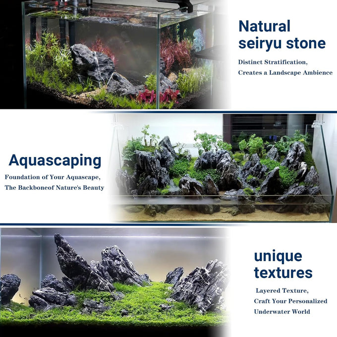 Seiryu natural stones 5lb 2-6 inch for aquariums, fish tanks, bonsai, terrariums and indoor gardens