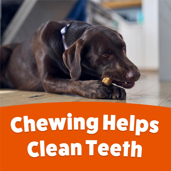 Purina Busy Bone Adult Dog Chew Treats Peanut Butter 10ct Pouch for Long Lasting Dental Care