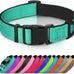 Joytale Reflective Dog Collar with Soft Neoprene Padded, Metal D-Ring, Adjustable for Large Dogs in Teal