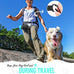 lesotc 35oz portable dog water bottle with leak-proof travel water bowl and squeeze bottle for outdoor walking and hiking