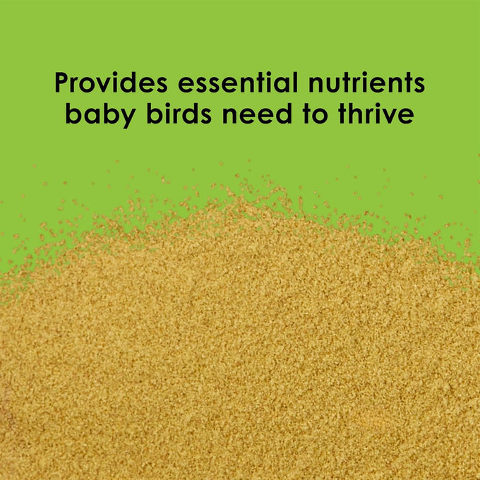 Kaytee exact hand feeding pet bird baby food for parrots, parakeets, and other psittacines, 5 pound