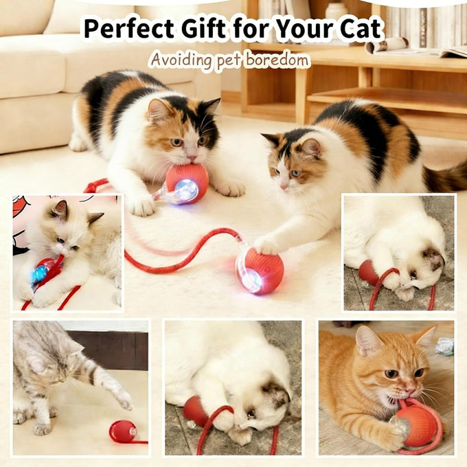 Rechargeable smart rolling cat ball with 3 modes, LED light and 3 replaceable accessories for kittens and adult cats