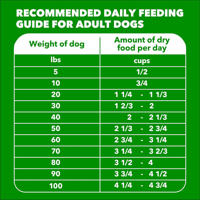 IAMS Proactive Health Minichunks Premium Dry Dog Food, 15 lb