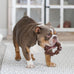 Nylabone Power Chew Toy Bundle for Large Dogs, up to 50 lbs, 3 Pack, Flavor Medley