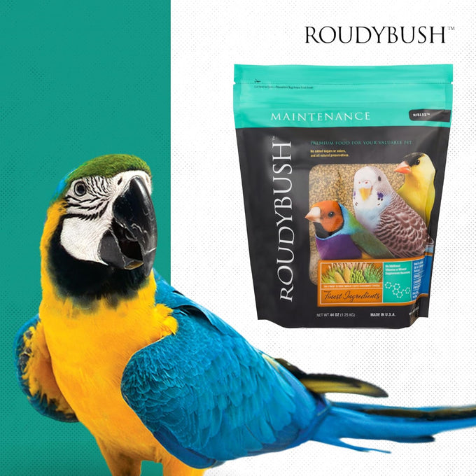 RoudyBush Daily Maintenance Food for Small Birds - Scientifically Formulated Pellets with Corn, Wheat, Soy, and More - 44oz