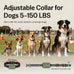 safe-shock-latest-version-dog-shock-collar-with-remote-control-4500ft-range