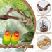 limio natural wood bird perch set for parakeets cockatiels conure budgies 6-piece
