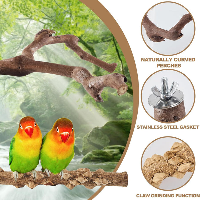 limio natural wood bird perch set for parakeets cockatiels conure budgies 6-piece