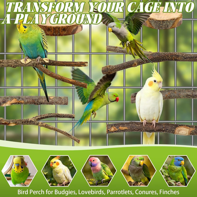 8 PCS natural apple wood bird perch set for small birds - parakeets, budgies, cockatiels - safe chew toys & climbing stand