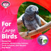 Super Bird Creations SB1107 Bagel Cascade Bird Toy, Large, Refillable Bagels for Amazon, African Grey, and Other Parrots