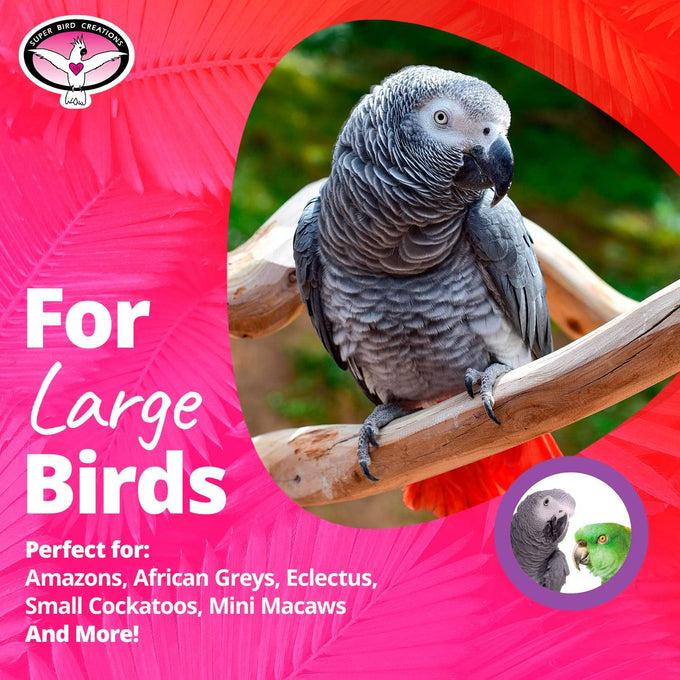 Super Bird Creations SB1107 Bagel Cascade Bird Toy, Large, Refillable Bagels for Amazon, African Grey, and Other Parrots