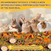 Sukh Natural Botanical Rabbit Treats for Guinea Pigs and Hamsters - 160g Mix of Freeze Dried Fruits, Vegetables, and Flowers