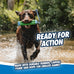 chuckit! amphibious bumper fetch stick toy for medium dogs - floats in water - interactive dog toys