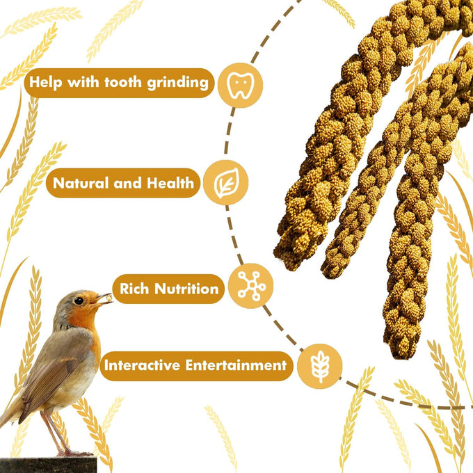 Jmxu's Natural Sun-Dried Spray Millet for Parakeets, Cockatiels, and Small Birds, 1 LB, 12.6 Inch Length