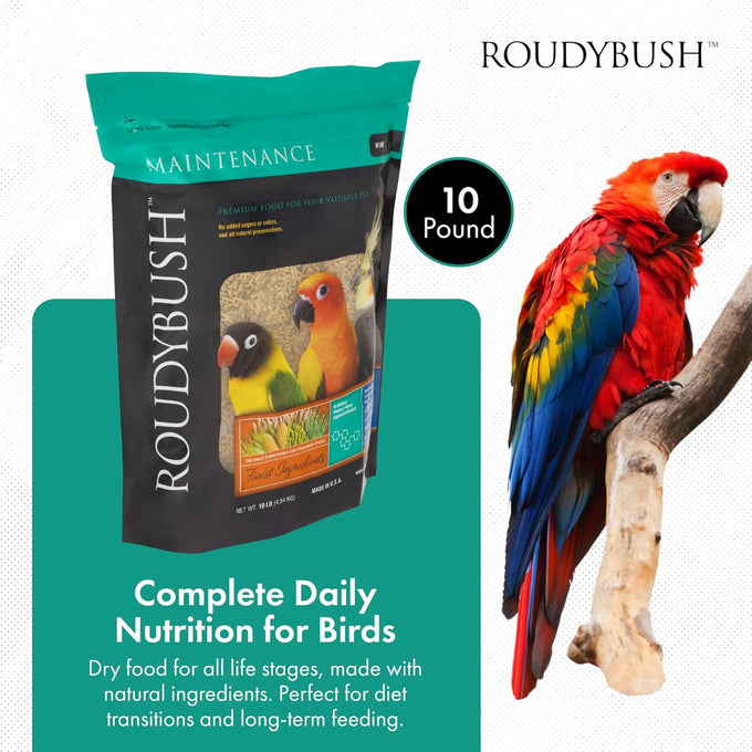 RoudyBush daily maintenance bird food, mini, 10-pound, parrot pellets for conures, lovebirds, and parakeets