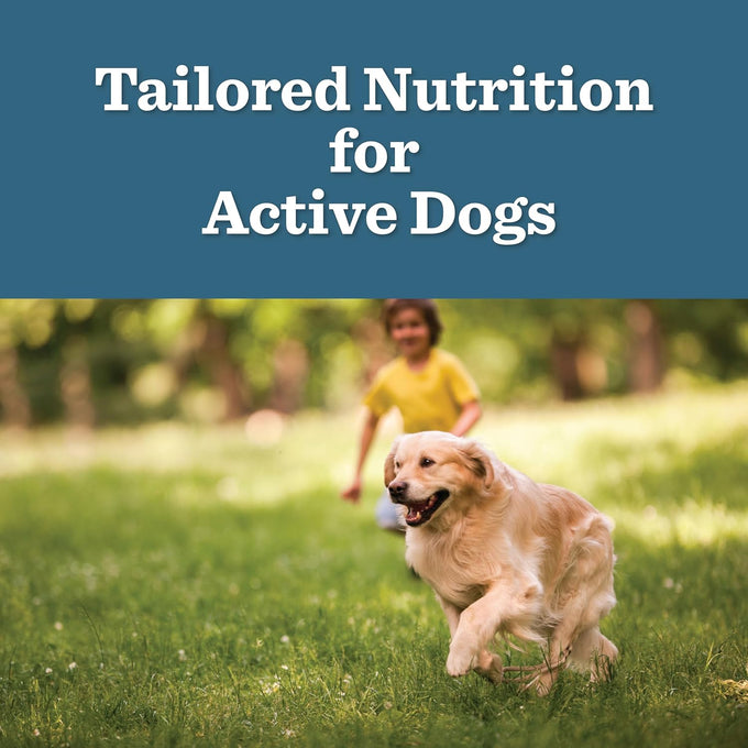 Dr. Pol Chicken Dog Food - High Energy Dry Kibble, Sensitive Stomach
