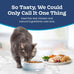 Blue Buffalo natural adult cat food with chicken and brown rice, 15-pound bag, sensitive stomach recipe