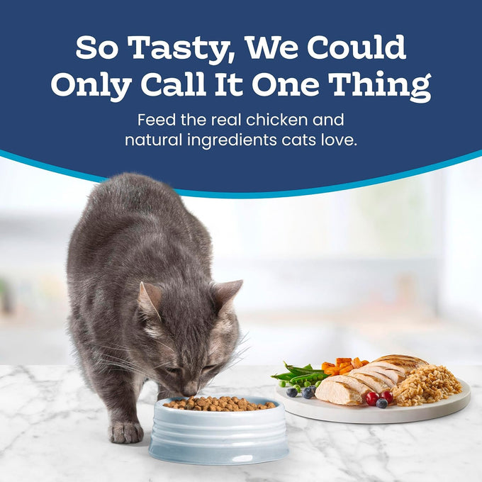 Blue Buffalo natural adult cat food with chicken and brown rice, 15-pound bag, sensitive stomach recipe
